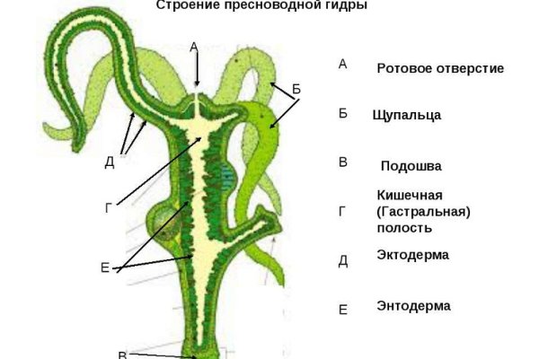 Кракен онион тор